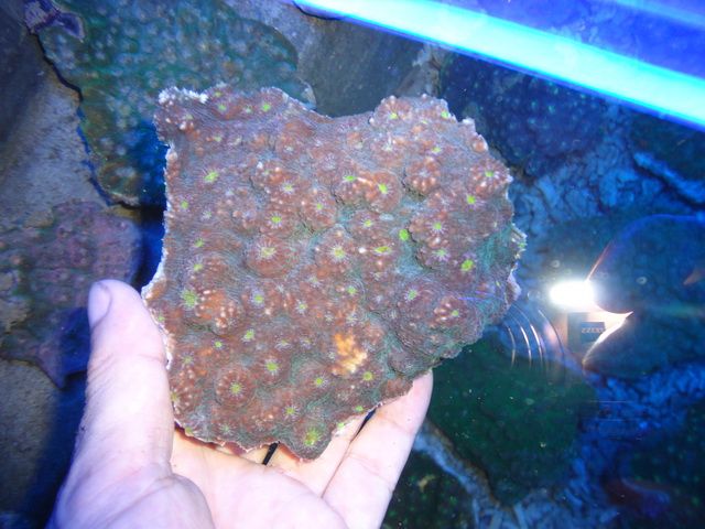 DSC01695-1.jpg