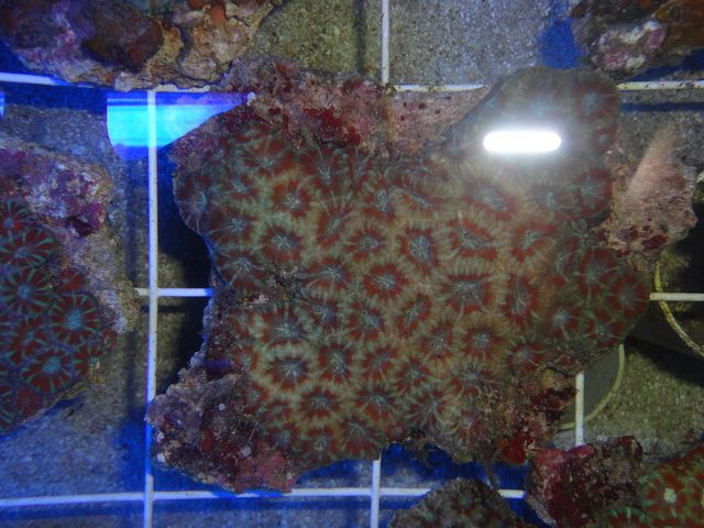 DSC01837-1.jpg