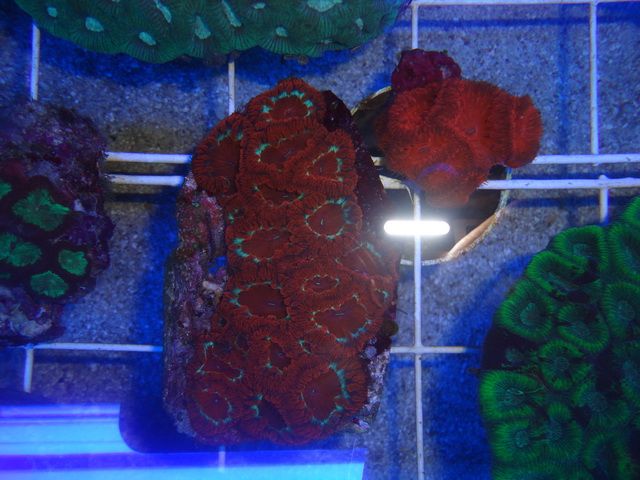 DSC01844-1.jpg