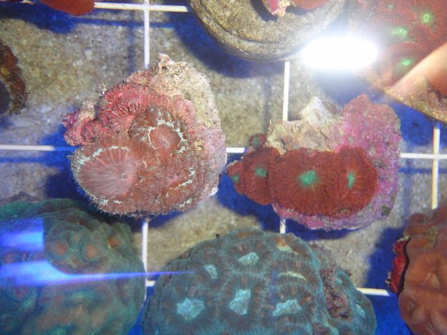 DSC01846-1.jpg