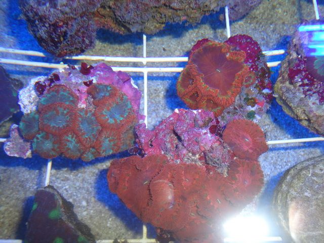 DSC01849-1.jpg