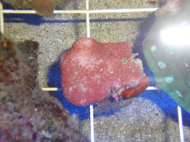 DSC01850-1.jpg