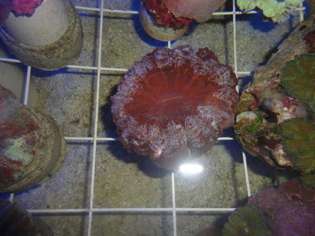 DSC01857-1.jpg