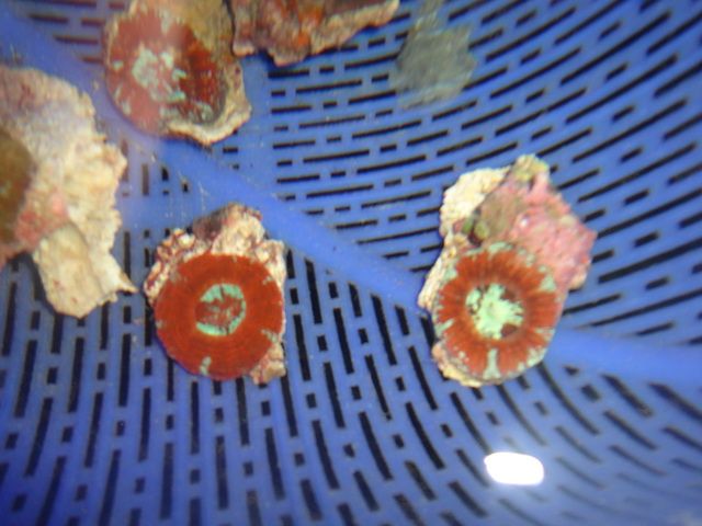 DSC01863-1.jpg