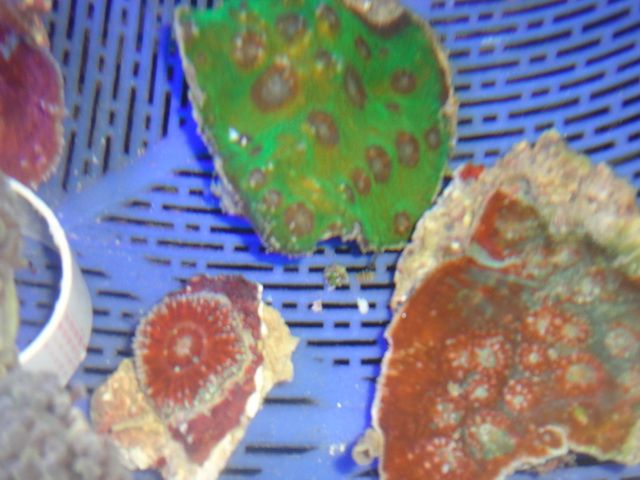 DSC01865-1.jpg