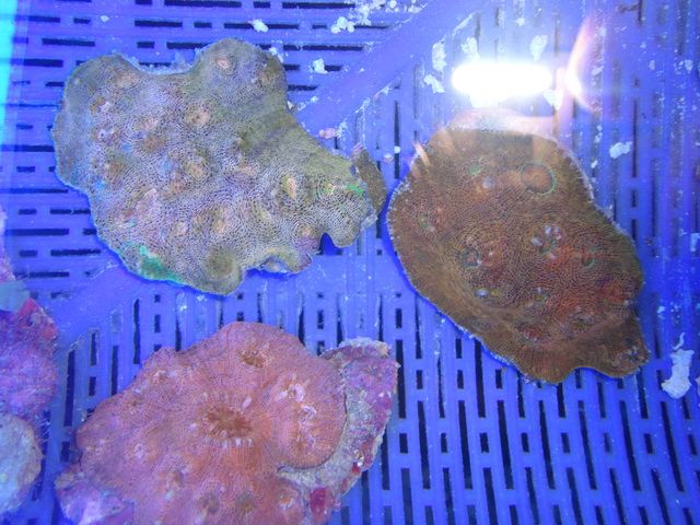 DSC01868-1.jpg