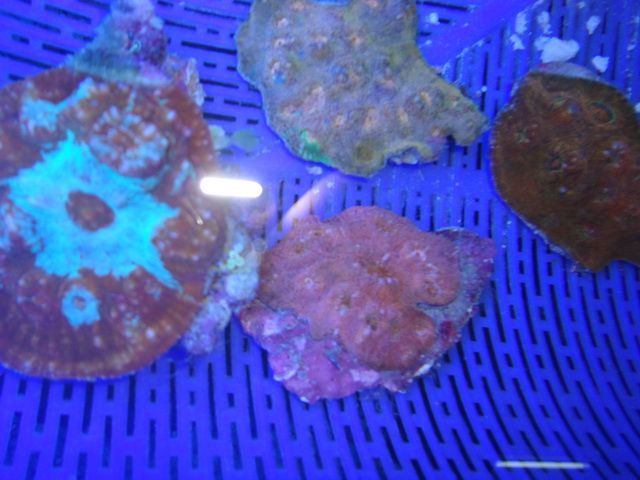 DSC01869-2.jpg