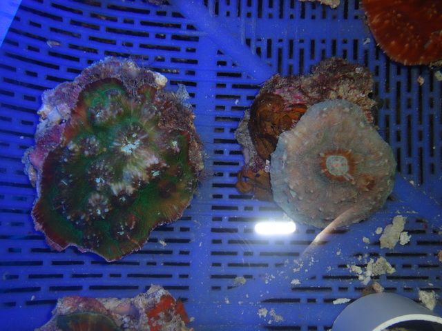 DSC01870-2.jpg