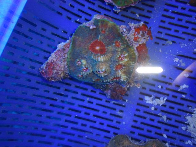 DSC01872-2.jpg