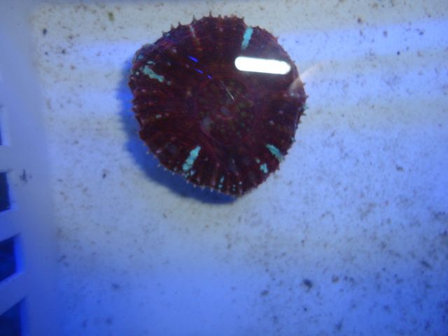 DSC01875-2.jpg