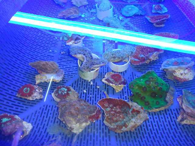 DSC01879-2.jpg
