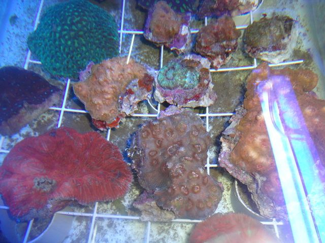 DSC01880-2.jpg
