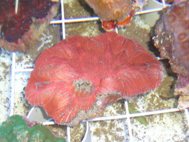 DSC01887-2.jpg