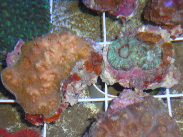 DSC01888-2.jpg