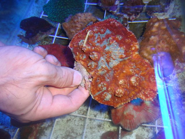 DSC01890-2.jpg