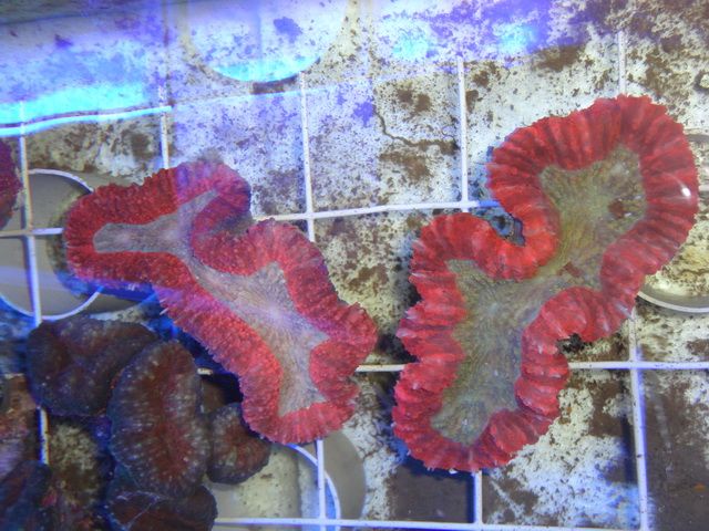 DSC01896-2.jpg