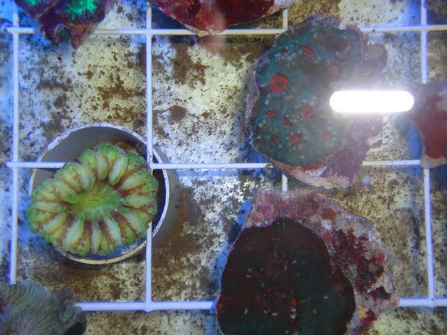DSC01897-2.jpg