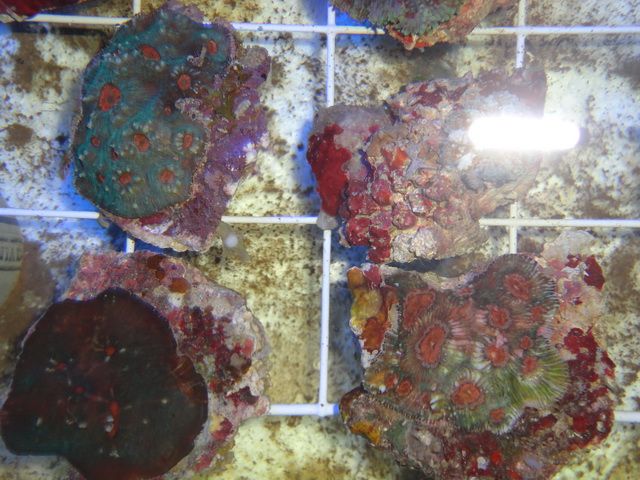 DSC01898-2.jpg