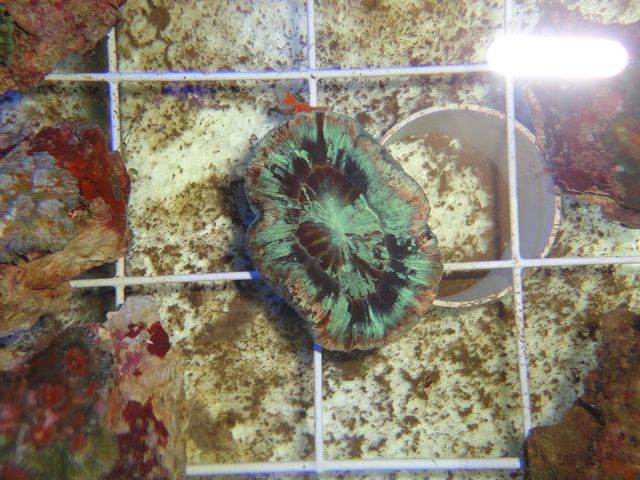 DSC01899-2.jpg