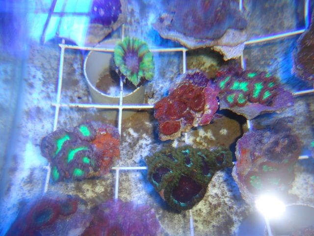 DSC01904-2.jpg