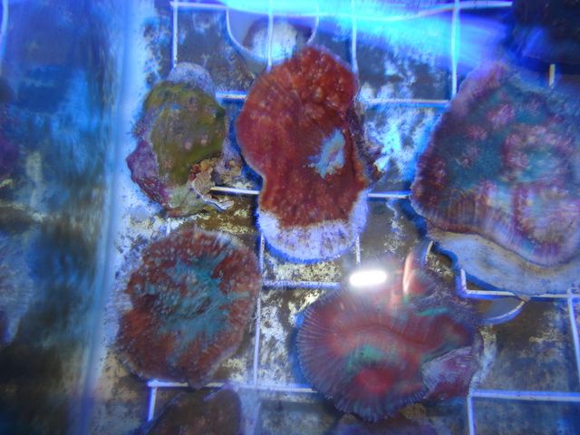 DSC01906-2.jpg