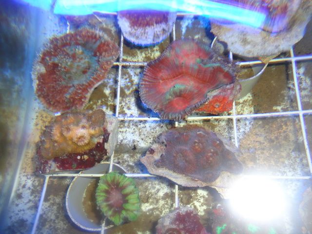 DSC01907-2.jpg