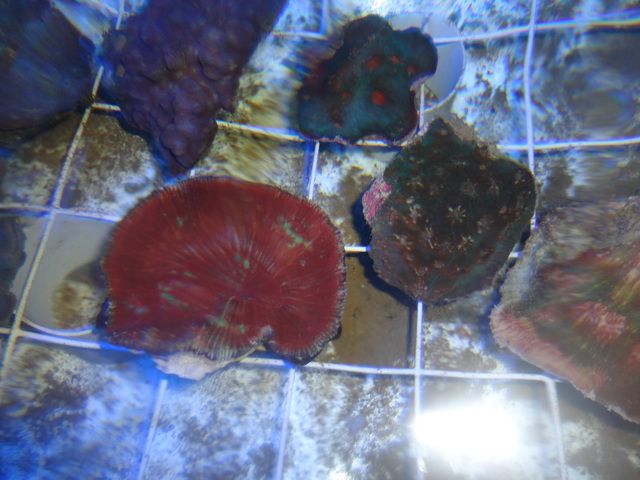 DSC01909-2.jpg