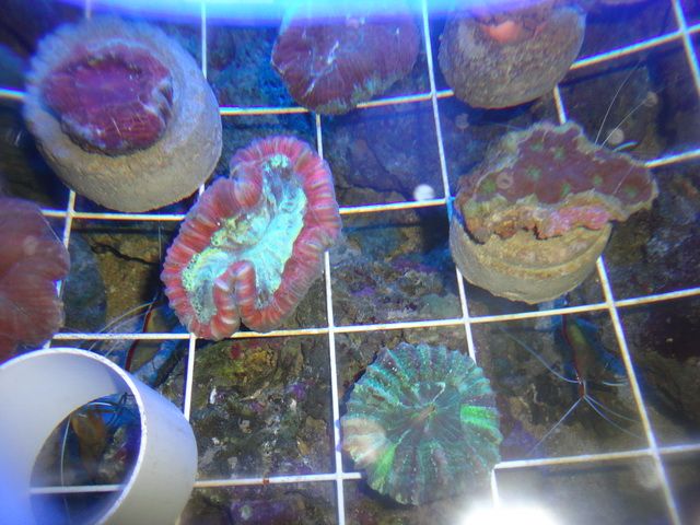 DSC01912-2.jpg