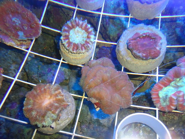 DSC01913-2.jpg