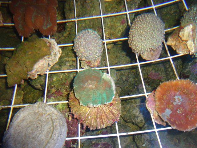 DSC01914-2.jpg