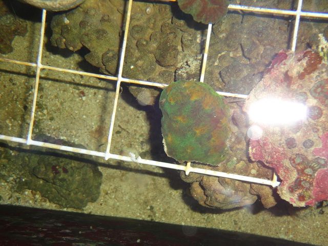 DSC01918-2.jpg