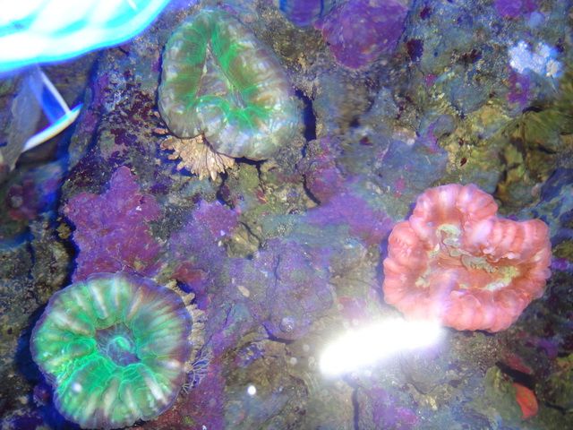 DSC01919.jpg