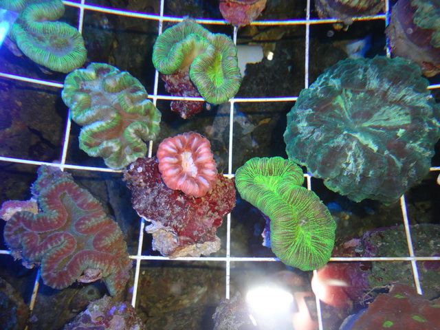 DSC01921-2.jpg