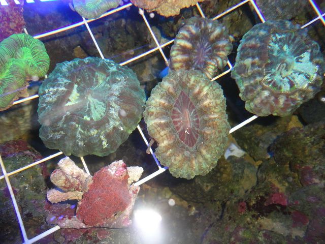 DSC01922-2.jpg