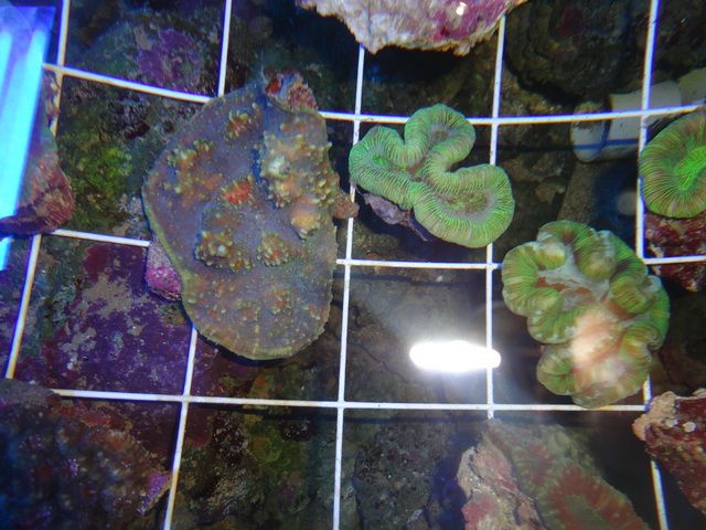 DSC01923-2.jpg