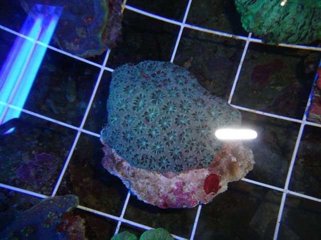 DSC01924-2.jpg
