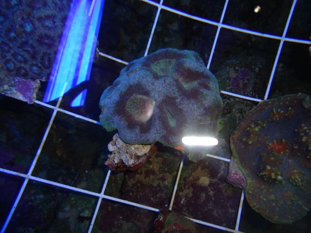DSC01925-2.jpg