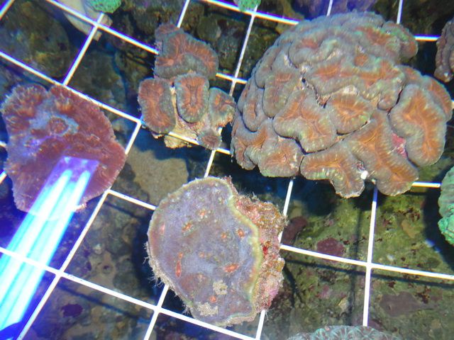 DSC01927-2.jpg