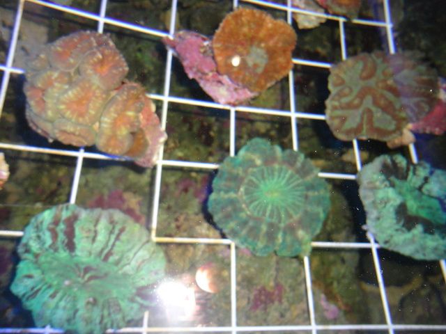 DSC01928-2.jpg
