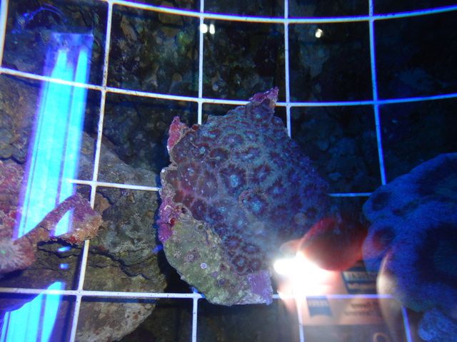 DSC01929-2.jpg