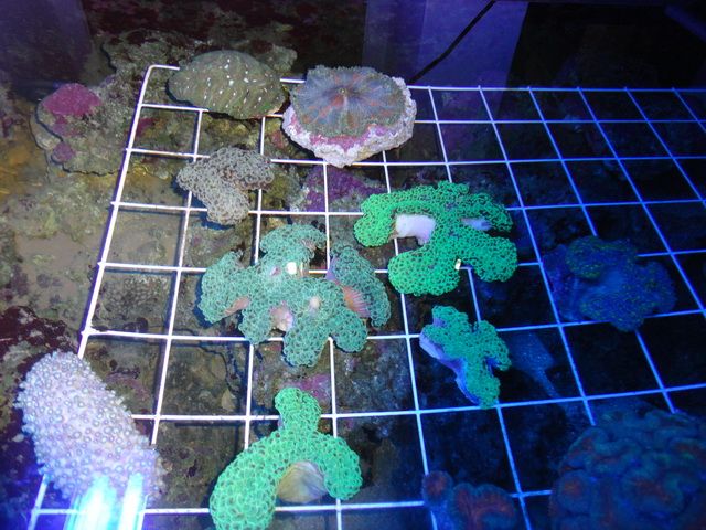 DSC01931-2.jpg