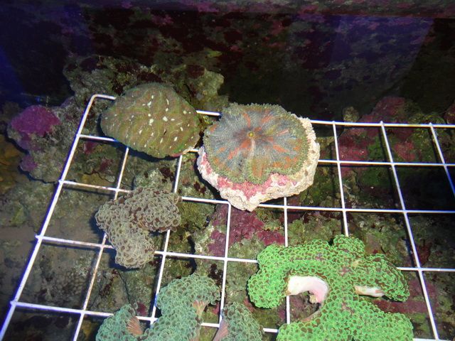 DSC01932-2.jpg