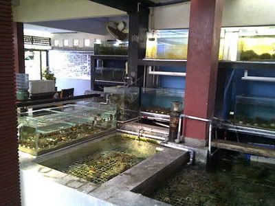 IMG-20110828-00368-1.jpg