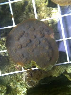IMG-20110904-00658-2.jpg