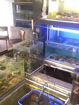 IMG-20110904-00695-1.jpg