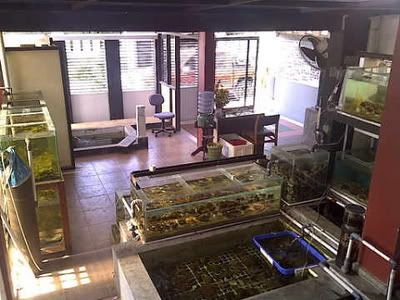IMG-20110904-00721-1.jpg