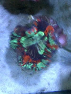 IMG-20110917-01067-1.jpg