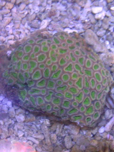 IMG-20111022-01604-1.jpg