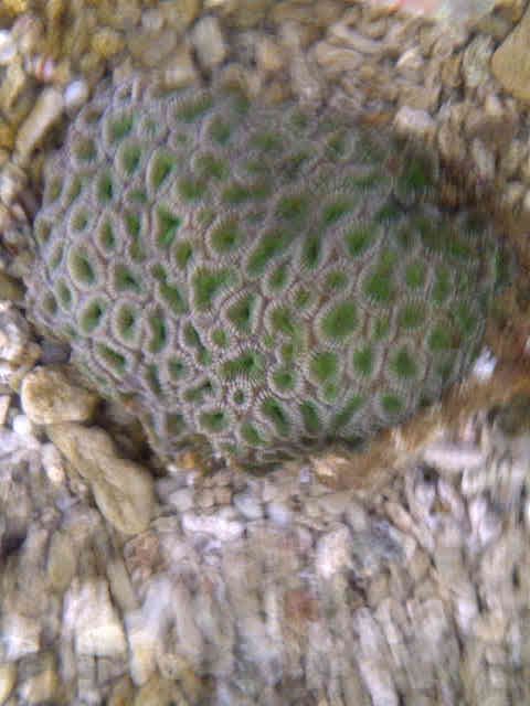 IMG-20111023-01621-1.jpg