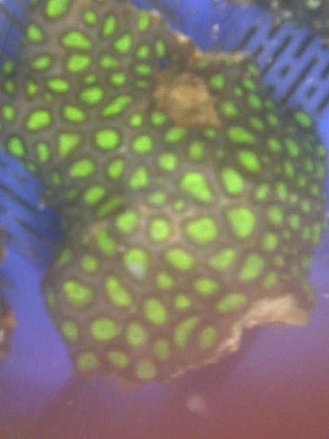 IMG-20111101-01772-1.jpg